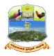 College Emblem